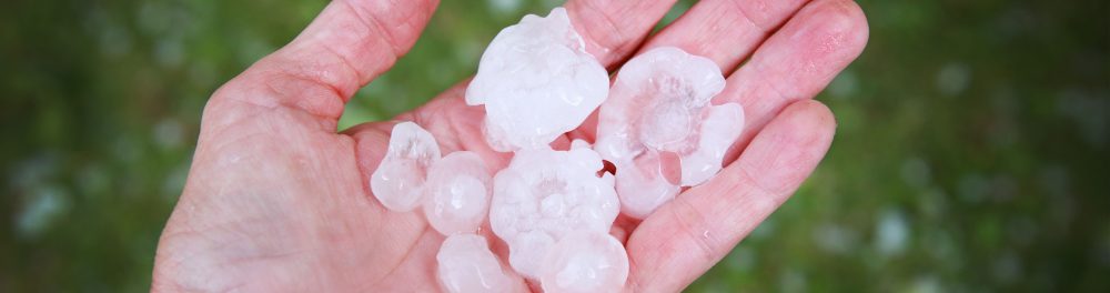 Close up of a hand holding some hail.
