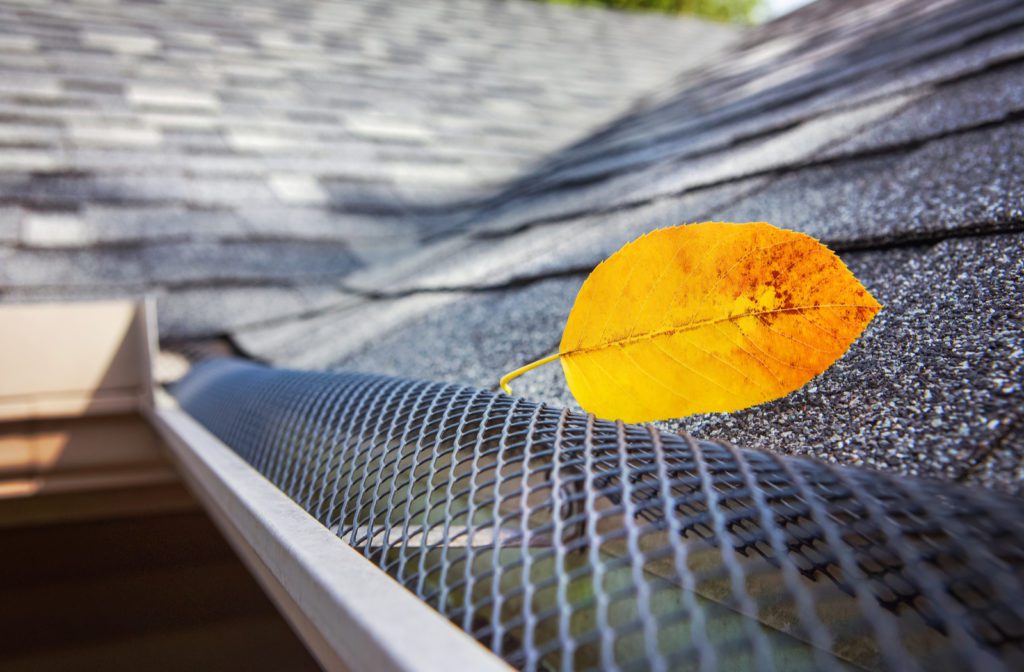 Plastic guard over gutter on a roof with a leaf stuck on the outside