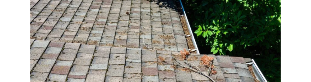 A debris covered roof and leaf filled gutters.
