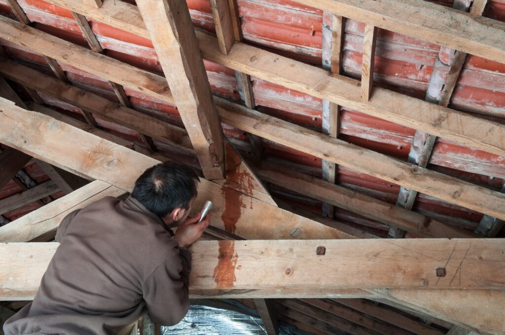 Homeowner inspecting structural problem in attic near roof allowing attic rain to occur
