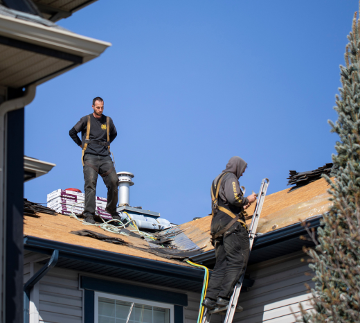 10 Signs Your Roof Needs Professional Maintenance Image