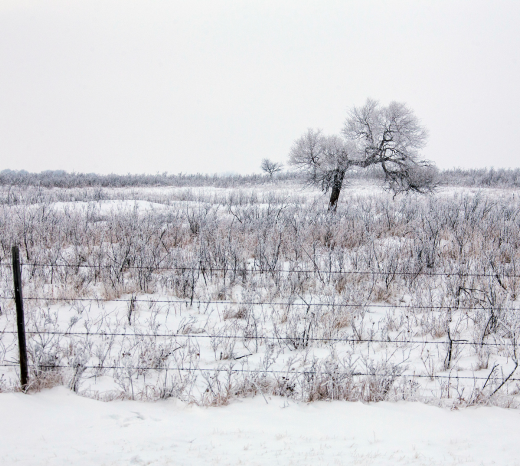 A scenic winter landscape of the Alberta plains at dusk, featuring a house amidst the extreme cold temperatures, introduces the blog Heat Line 101.