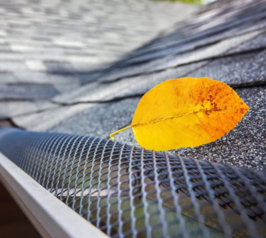 Leaf Guards: Types & Why They Are Important Image