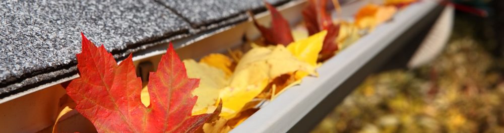 Close up image of gutter filled with autumn leaves.
